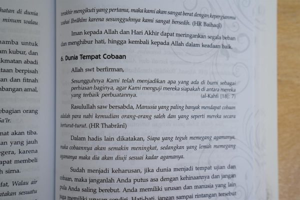 Kaya Harta dan Hati - Gambar 10